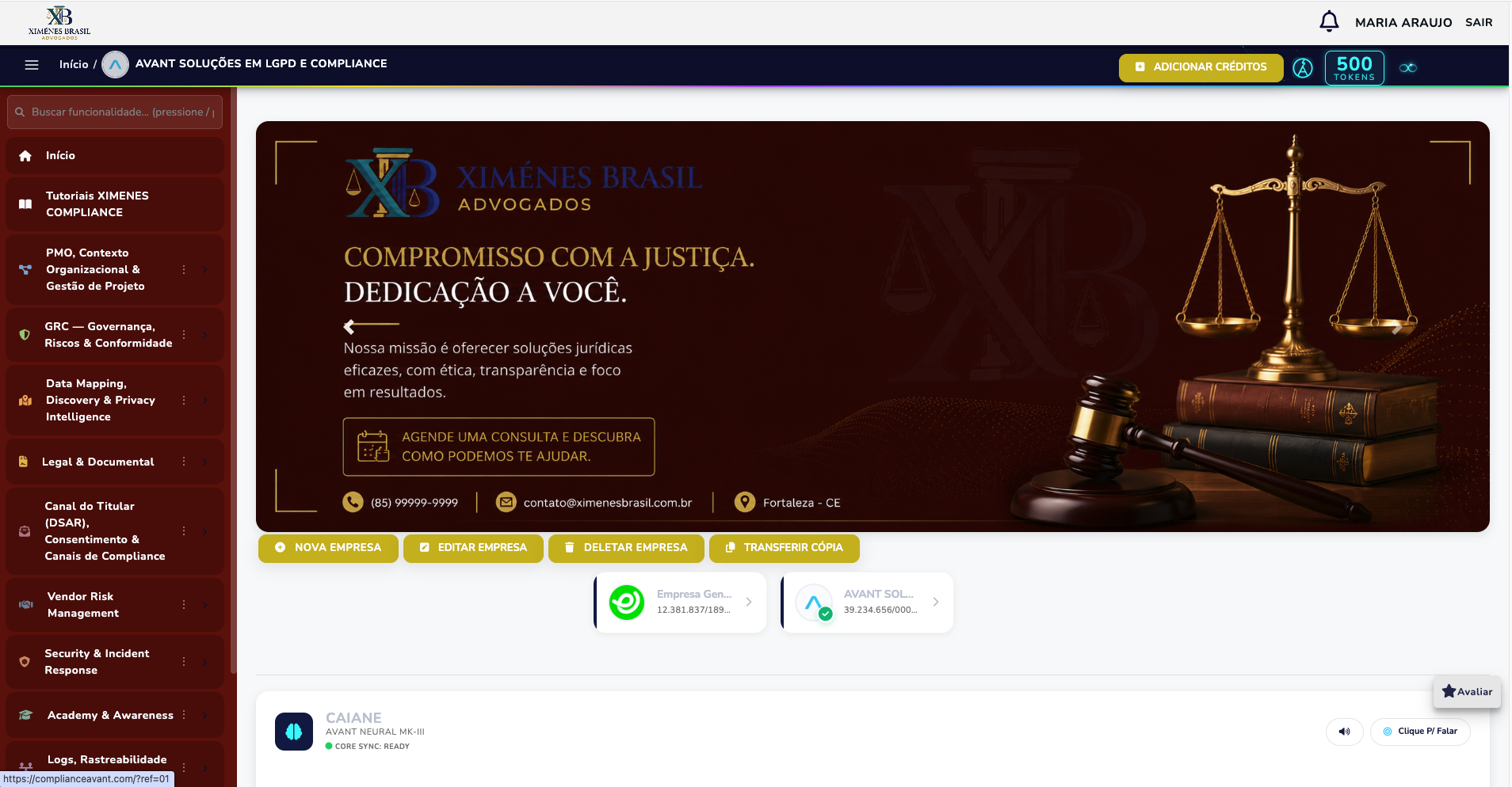 Painel do sistema white label, exibido com a marca do licenciado